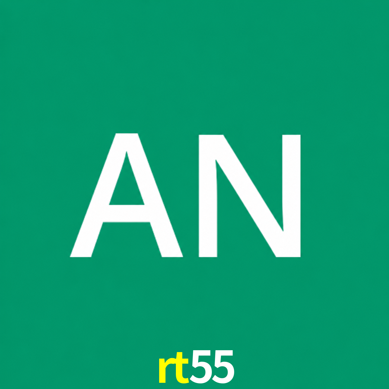 Adi Nugroho - Founder & CEO rt55 Indonesia
